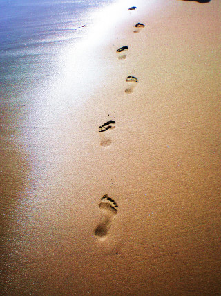 Footprints sand water surfboard beach - a surfboard free wallpaper