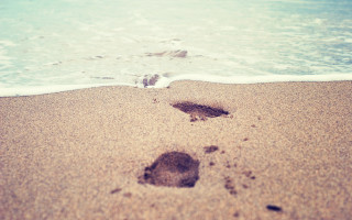 Footprints sand beach ocean waves - a small bird free wallpaper