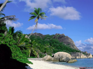 Beach palm tree mountain blue 2 - a beach free wallpaper for desktop