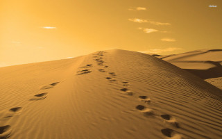 Person walking sandy beach sunset - sunset free wallpaper