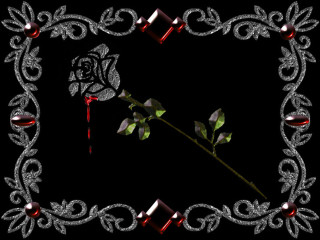 Rose stem diamond frame red - a stem free wallpaper