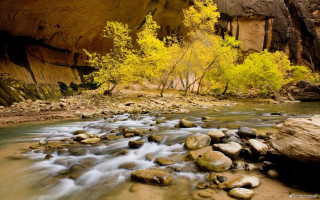 River canyon autumn leaves impressionist - a canyon free wallpaper