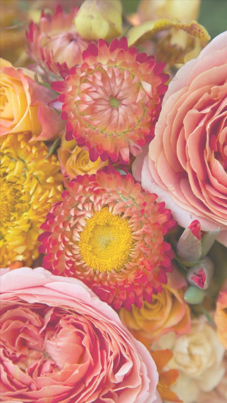 Bouquet rococo summer vibrant flowers - still free wallpaper