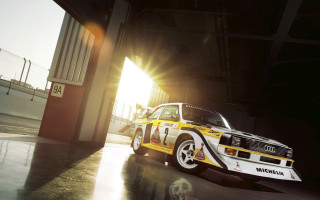 Yellow white car dog building - car free wallpaper