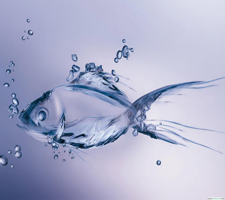 Fish swimming blue water bubbles 3 - water free wallpaper