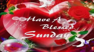 Heart roses blessing sunday message - sun free wallpaper