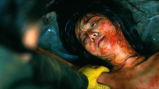 Woman blood bed banana hand - a bed free wallpaper