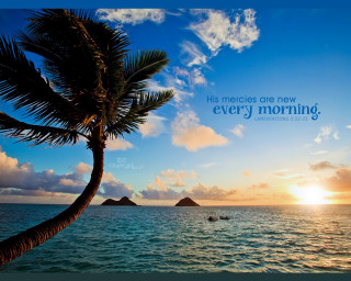 Palm tree quote ocean boat - the middle of the ocean free wallpaper