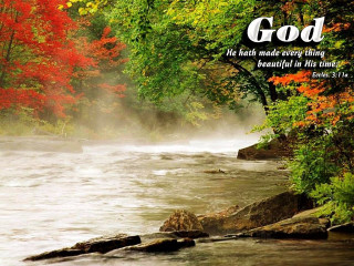 River bible forest autumn beach - a forest in the background free wallpaper