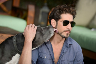 Man sunglasses dog tongue beard - sunglass free wallpaper