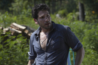 Man beard blue shirt wooded - a blue shirt free wallpaper