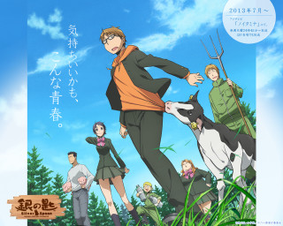 Man cow field people grass - other person free wallpaper