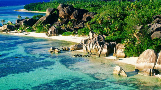 Beach rocks trees water blue - free bikini wallpaper