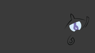 Black white cat purple eye - derf free wallpaper
