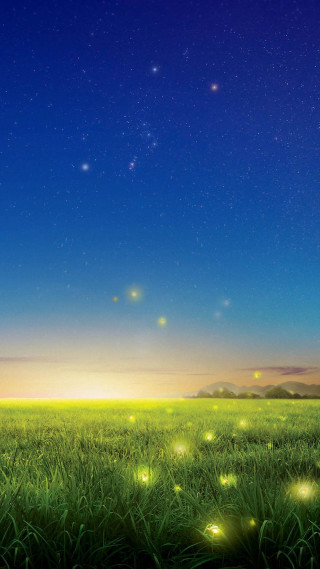 Field grass fireflies night sky 2 - firefly free wallpaper