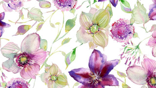Watercolor purple flowers green leaves - watercolor free wallpaper