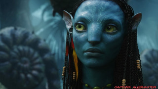 Blue skin woman bird necklace - a necklace and earrings free wallpaper