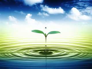 Plant growing water ocean blue - the middle of the ocean free wallpaper