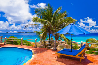 Ocean pool deckchair umbrellas palm - rich vivid color free wallpaper