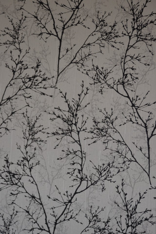 Tree branch no leaves wallpaper - a tree branch free wallpaper