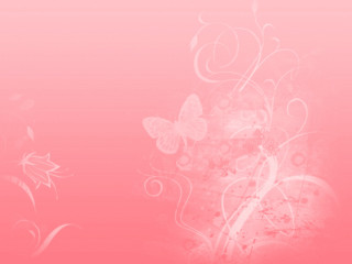 Pink background white flower butterflies - lyco art free wallpaper for desktop