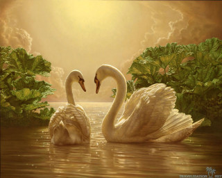 Swans swimming lake trees clouds - the background and a sun free wallpaper