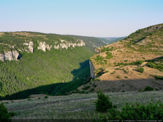 Valley mountain foreground trees bushes - a valley free wallpaper