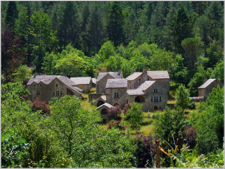 Large house trees woods windows - romanesque free wallpaper