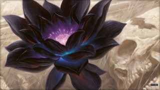 Purple flower blue center purple - donato giancola free wallpaper