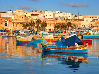Boats water city skyline palm - palm tree and buildings free wallpaper