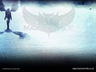 Man ledged bird flying dog - felipe seade free wallpaper