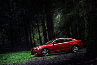 Red car forest night headlights - the headlight free wallpaper
