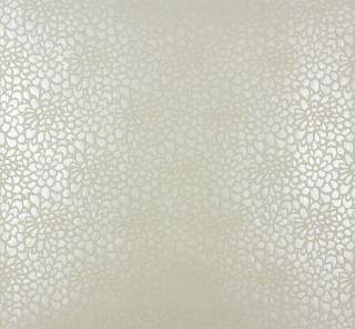 White wall circles pattern black - a black cat free wallpaper
