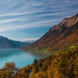 Lake mountains trees blue sky 24 - beautiful landscape free wallpaper