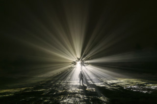 Person standing field light foggy - bruce munro free wallpaper