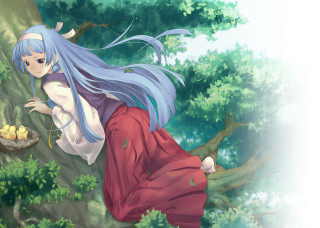 Woman blue hair tree branch - a tree branch in a forest free wallpaper