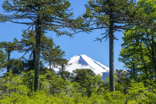 Mountain trees distance scenery nature - eduardo lefebvre scovell free wallpaper