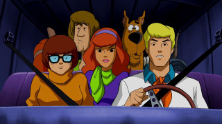 People car dog man driving - free dogs wallpaper