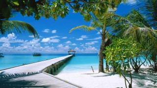 Pier beach hut palm trees 4 - a pier free wallpaper