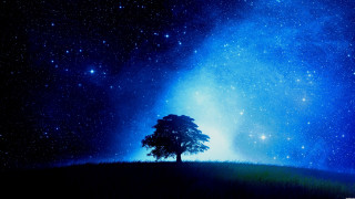 Tree field night sky stars - blue light free wallpaper