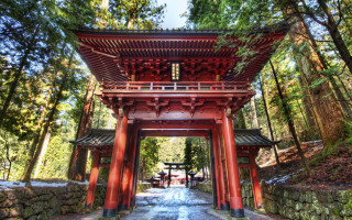 Red pagoda forest walkway benches - a walkway free wallpaper