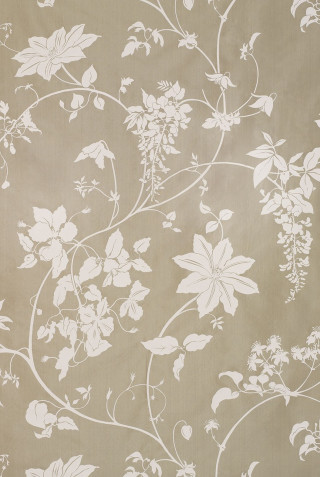 Wall flower pattern white background - a wall free wallpaper