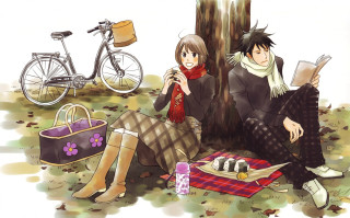 Couple tree basket food bike - a bike in the background free wallpaper