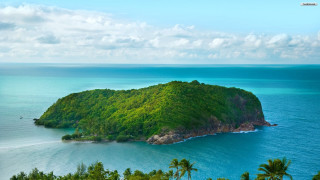 Small island palm trees blue 3 - overhead free wallpaper