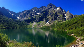 Mountain lake green trees blue - a mountain lake free wallpaper