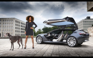 Woman car dog brick road - david lachapelle free wallpaper