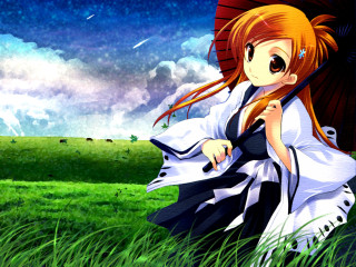 Woman dress umbrella field grass - a woman in a dress holding free wallpaper