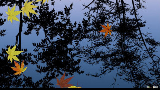 Leaves floating water trees branches 2 - water next free wallpaper
