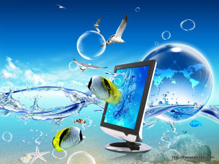 Computer monitor sea life birds - a blue sky background free wallpaper