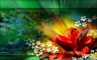 Red flower white flowers green 3 - a red flower free wallpaper